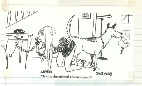 cartoons bestiality BESTIALITY CARTOONS